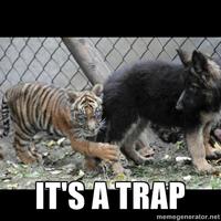 It's A Trap!