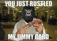 That Really Rustled My Jimmies