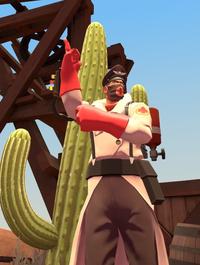 Team Fortress 2