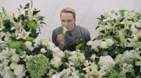 Cinemagraphs