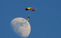 Perfectly Timed Photos
