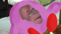Dying Orangutan