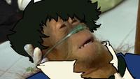 Dying Orangutan