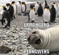 Ermahgerd