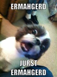 Ermahgerd