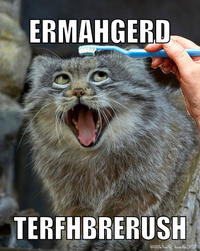 Ermahgerd