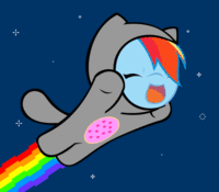 Nyan Cat / Pop Tart Cat