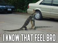 I Know That Feel Bro