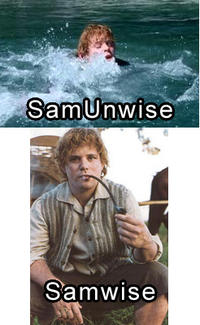 Name Puns