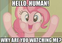 My Little Pony: Friendship is Magic