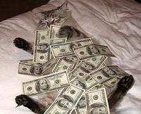 CashCats