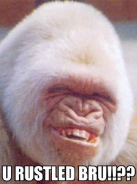 That Really Rustled My Jimmies