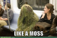 Like A Boss