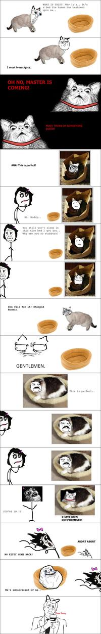 Women Logic