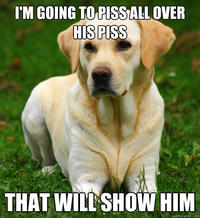 Women Logic