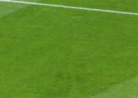 Mario Balotelli's Goal Celebration