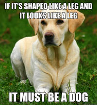 Women Logic