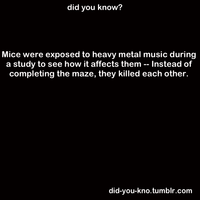 Did You Know?