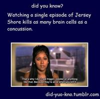 Did You Know?