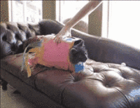 Nyan Cat / Pop Tart Cat