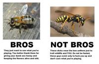 Bees