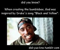 Bees