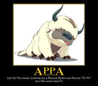 Avatar: The Last Airbender / The Legend of Korra