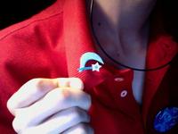Bronies