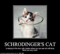 Schrodinger's Cat