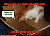 Schrodinger's Cat
