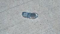 Indestructible Nokia 3310