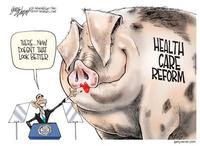 U.S. Healthcare Reform / Obamacare