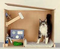 Schrodinger's Cat