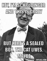 Schrodinger's Cat
