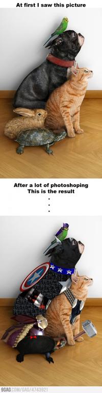 9gag