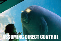 Overlord Manatee