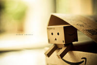 Danbo