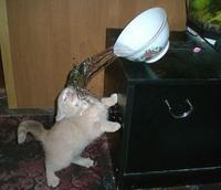 Perfectly Timed Photos