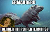 Ermahgerd