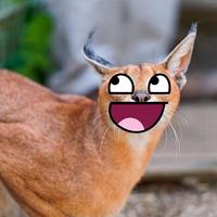 Awesome Face / Epic Smiley