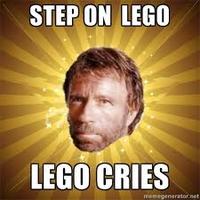 I Hope You Step on a LEGO