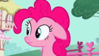 Pony Reactions