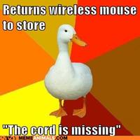 Technologically Impaired Duck