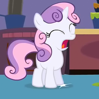 Pony Reactions