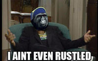 That Really Rustled My Jimmies
