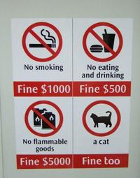 A cat is fine too....