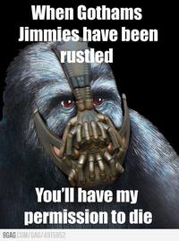 That Really Rustled My Jimmies