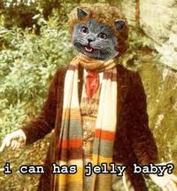 LOLcats