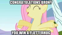 My Little Pony: Friendship is Magic