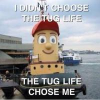 I Didn't Choose The Thug Life, The Thug Life Chose Me